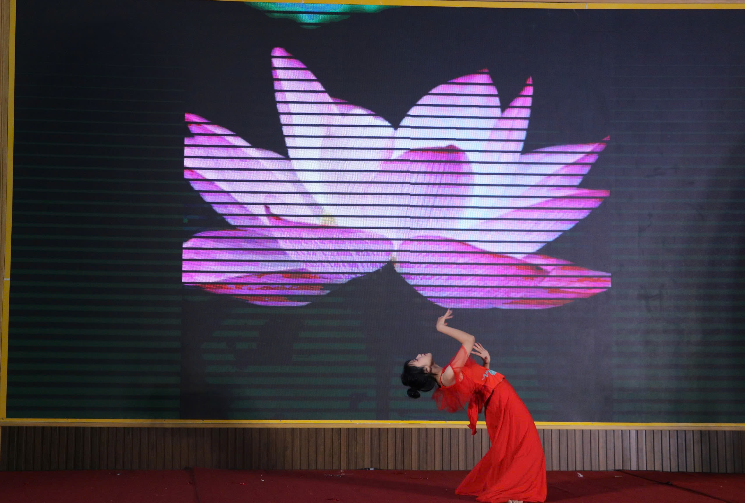 Chung Kết BMS Hưng Yên Got Talent 2025 – Thành Công Rực Rỡ